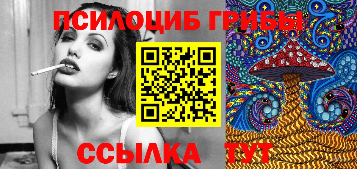 Псилоцибиновые грибы Psilocybe Серпухов