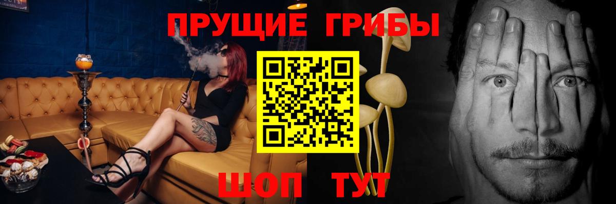 где найти   Вход с VPN  Серпухов  Галлюциногенные грибы Psilocybine cubensis 